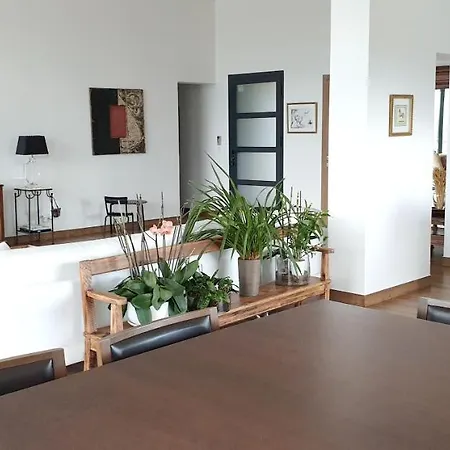 Route De Piccovaggia 维琪奥港